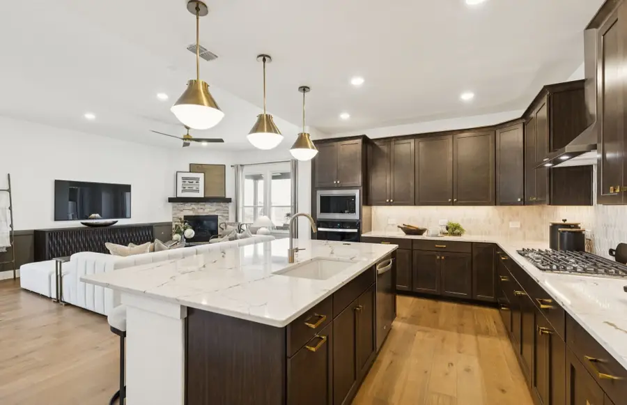 14410 Mietner Street, Pilot Point, TX 75009 - #2