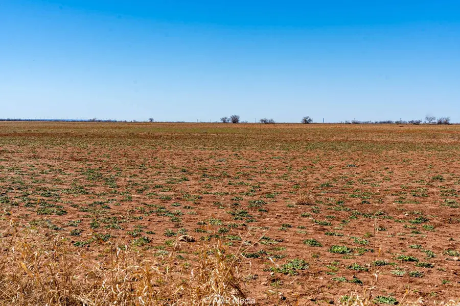 TRACT 8 TBD Cr 415, Merkel, TX 79536 - #3