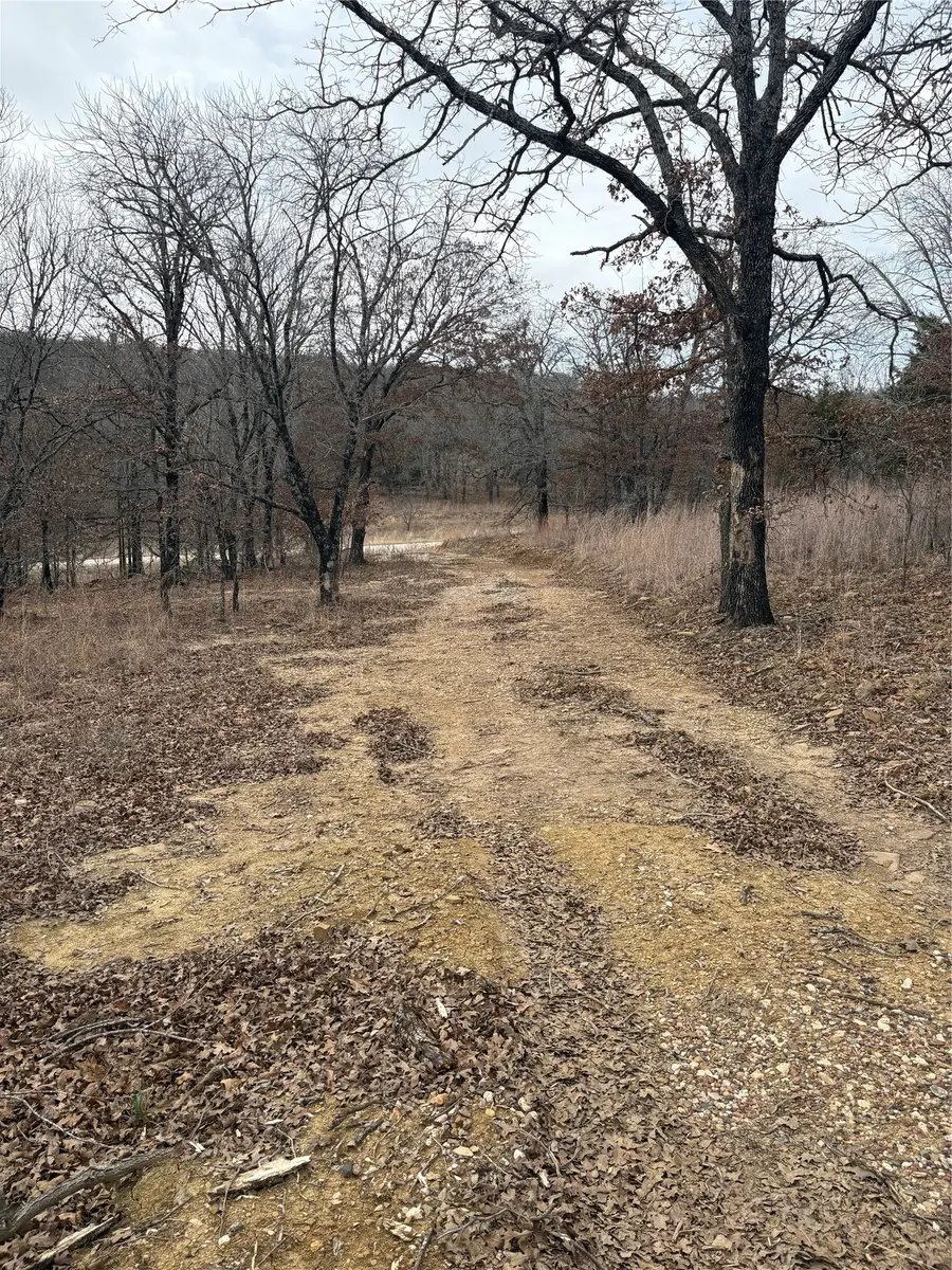 454 Ranchview, Bowie, TX 76230 - #3