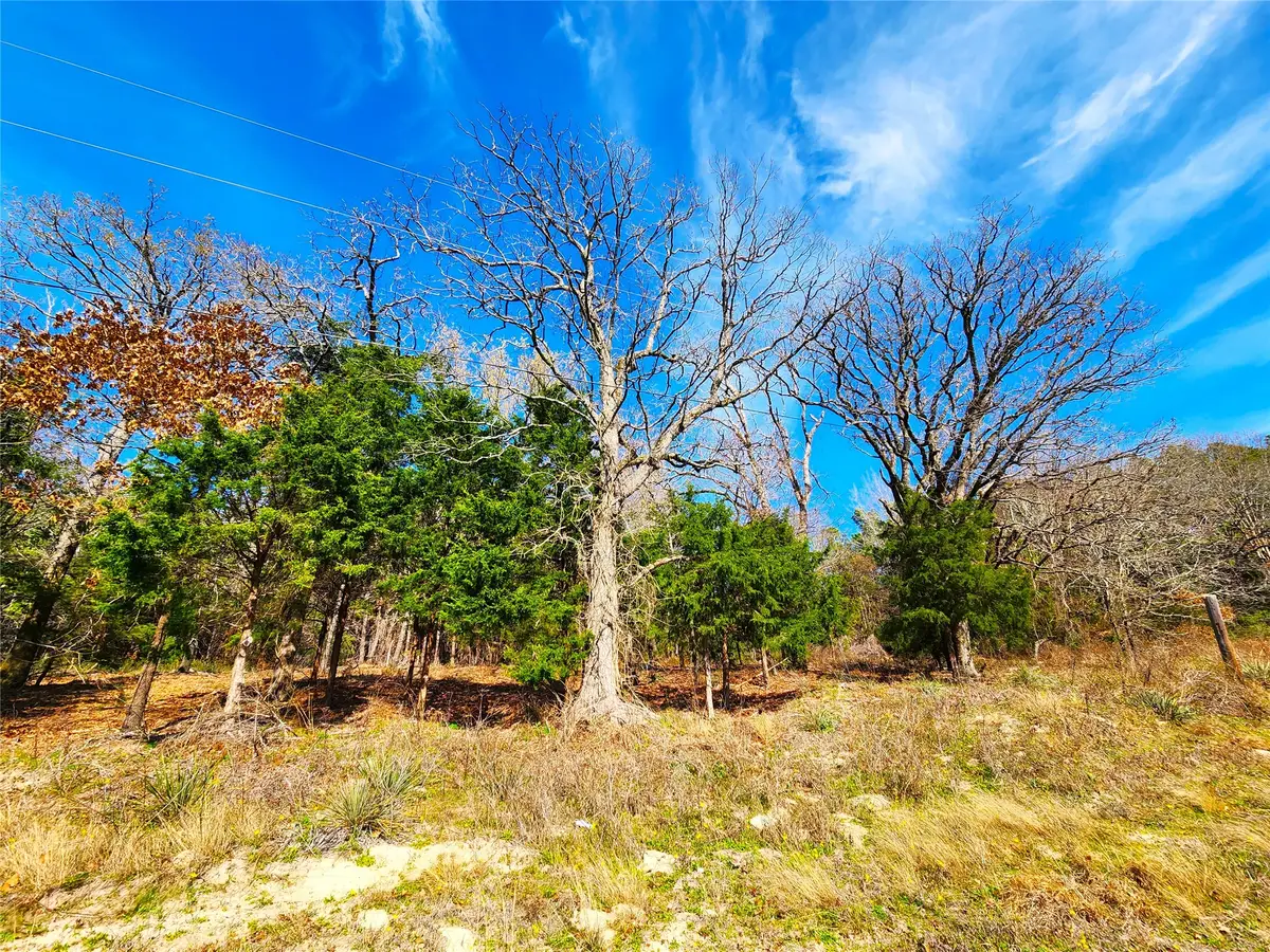 Lot 463 Us-175, Larue, TX 75770 - #1
