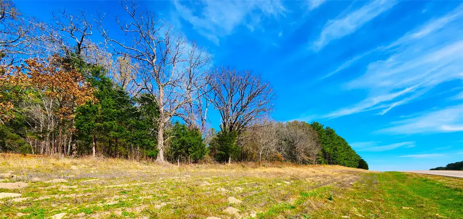 Lot 463 Us-175, Larue, TX 75770 - #2