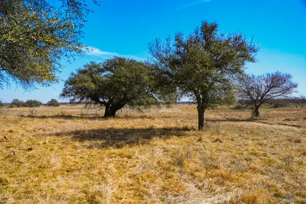 TBD Roney Road, Jacksboro, TX 76458