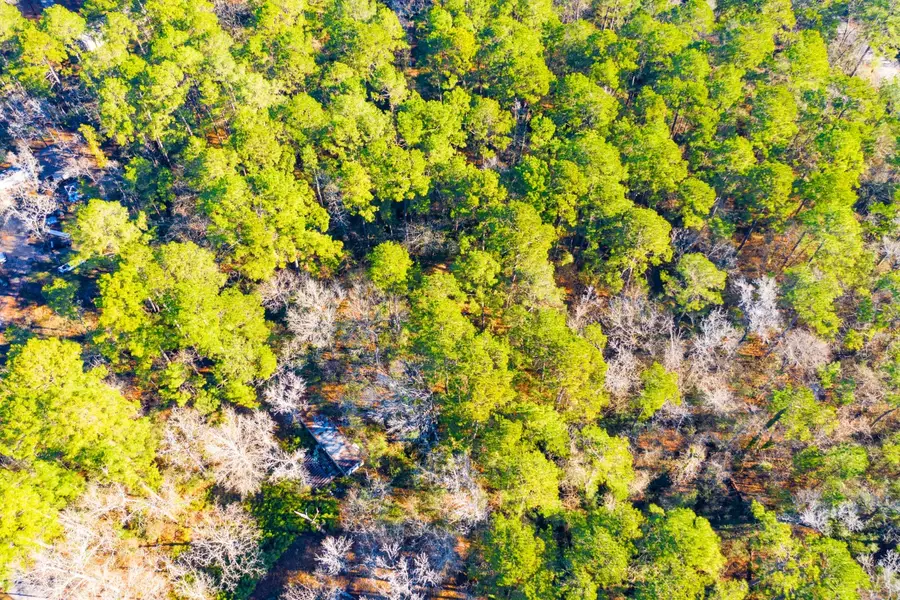 Lot 30 Cedar Court, Trinity, TX 75862 - #3