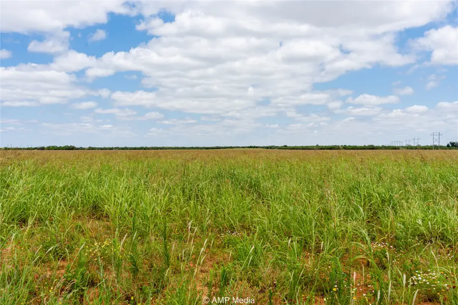 TBD Ave Q Avenue, Anson, TX 79501 - #2