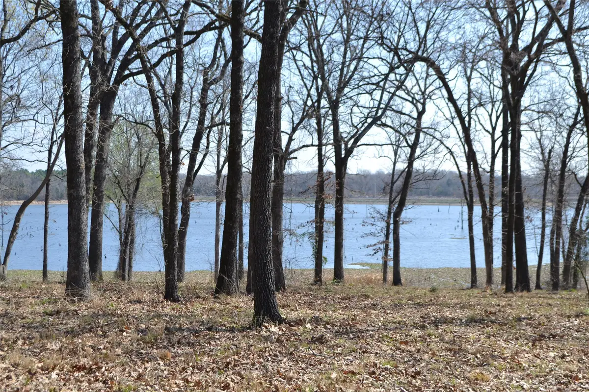 Lot 13 Angler Shores Drive, Yantis, TX 75497 - #1