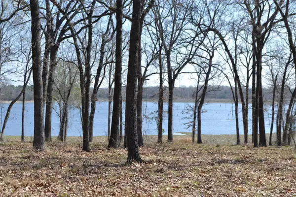 Lot 13 Angler Shores Drive, Yantis, TX 75497