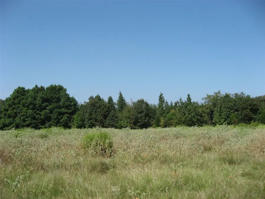 28901 County Road 2100, Kemp, TX 75143 - #2