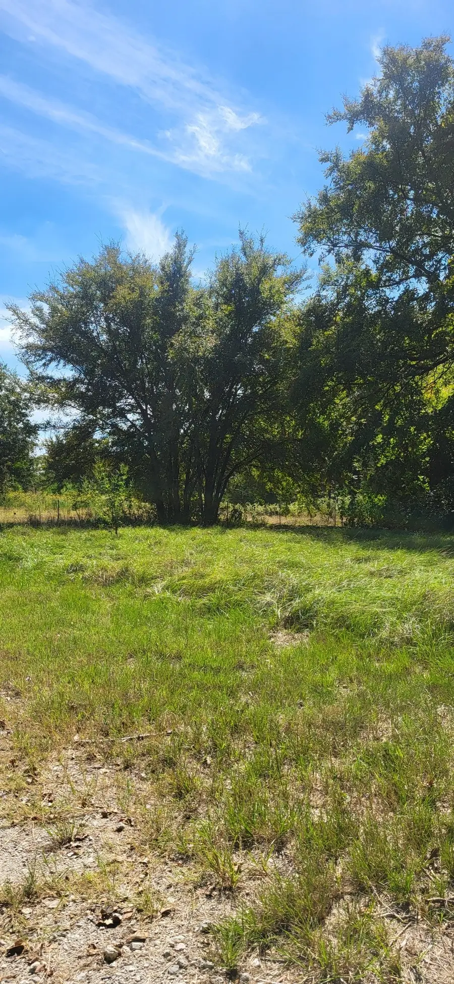 28901 County Road 2100, Kemp, TX 75143 - #3