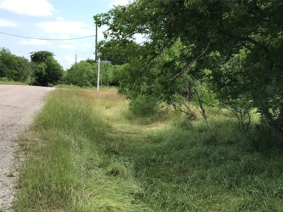 21112 Hill Terrace Drive, Whitney, TX 76692 - #2