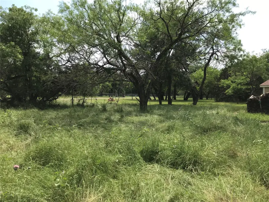 21112 Hill Terrace Drive, Whitney, TX 76692 - #3