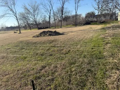 lot 2, 3, 4 Olive Street, Emhouse, TX 75110 - #2