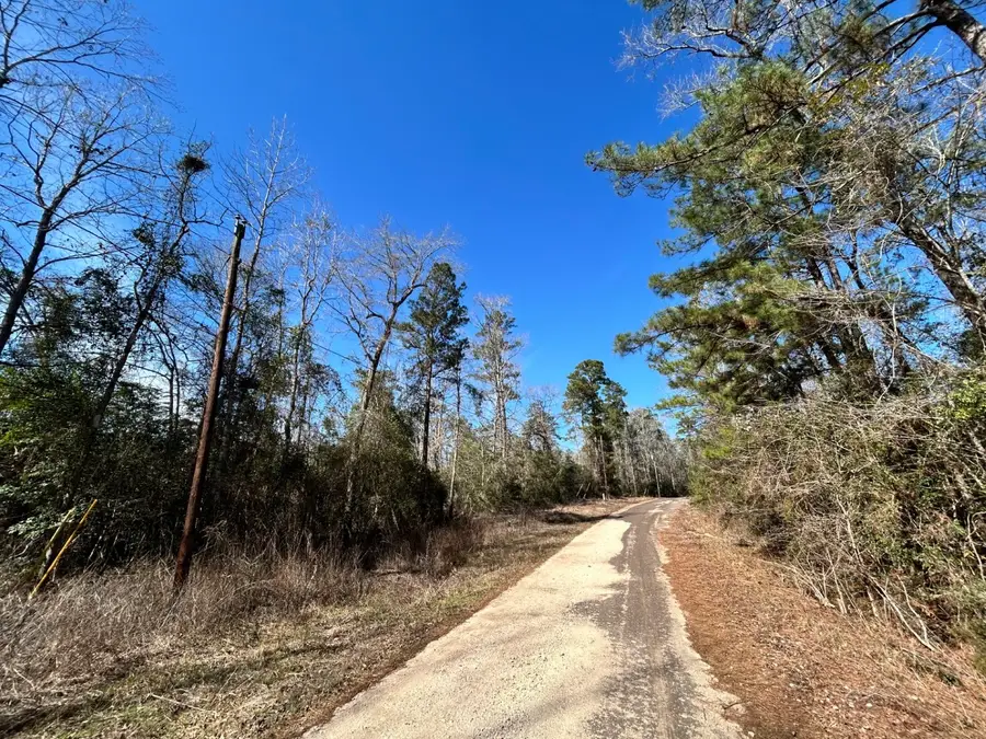 Lot 35 N Friar Tuck Drive, Woodville, TX 75979 - #2
