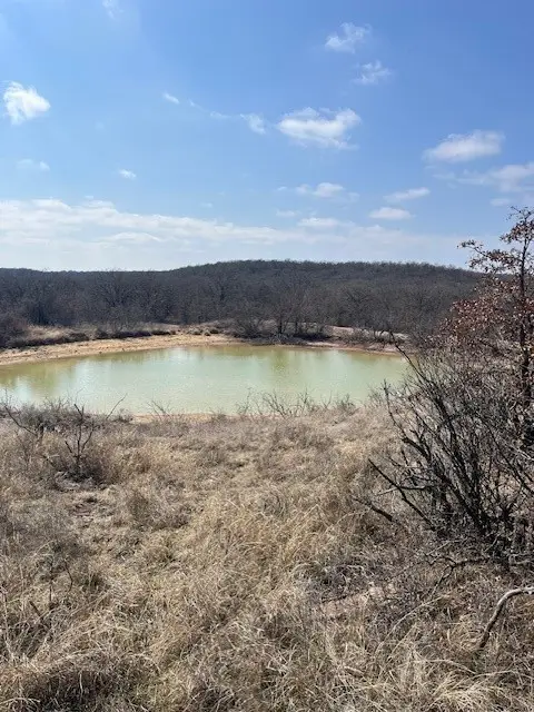 150 ac Hwy 16, Loving, TX 76460 - #3