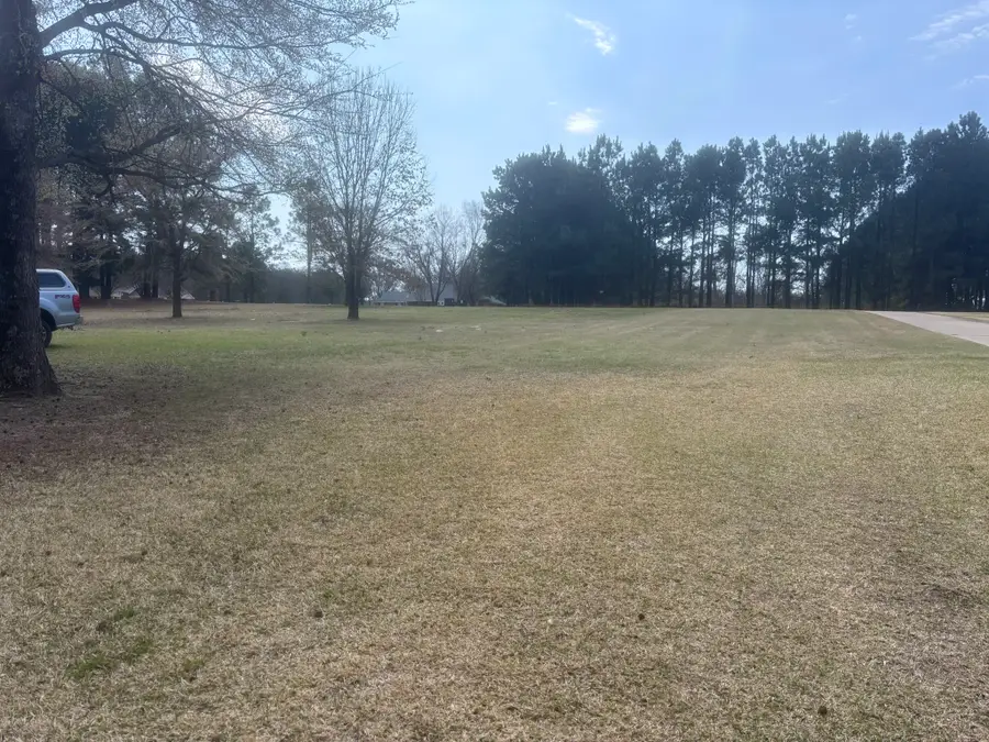 TBD Cr 1503, Alba, TX 75410 - #2