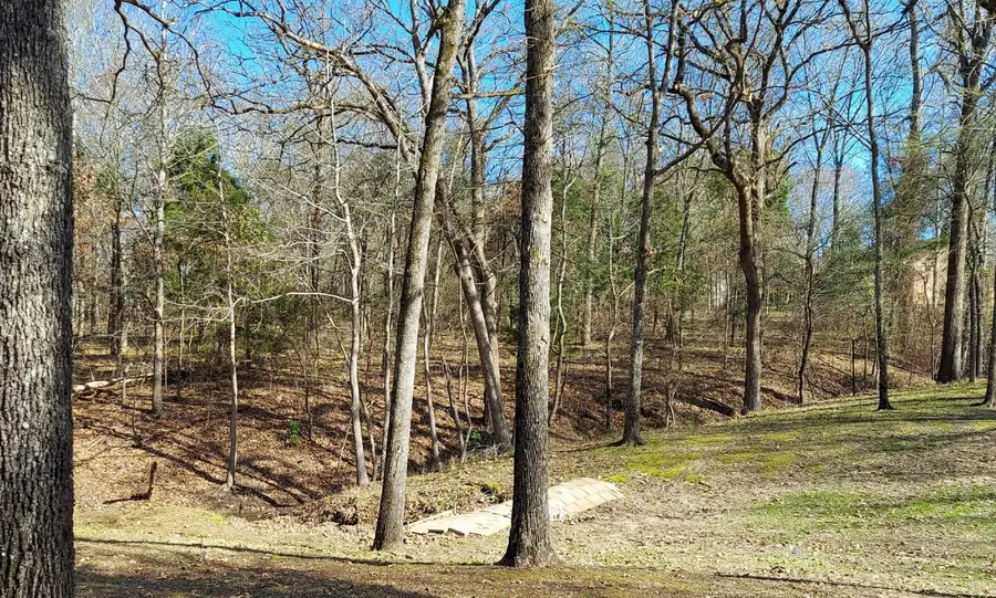 TBD Cr 1503, Alba, TX 75410 - #3