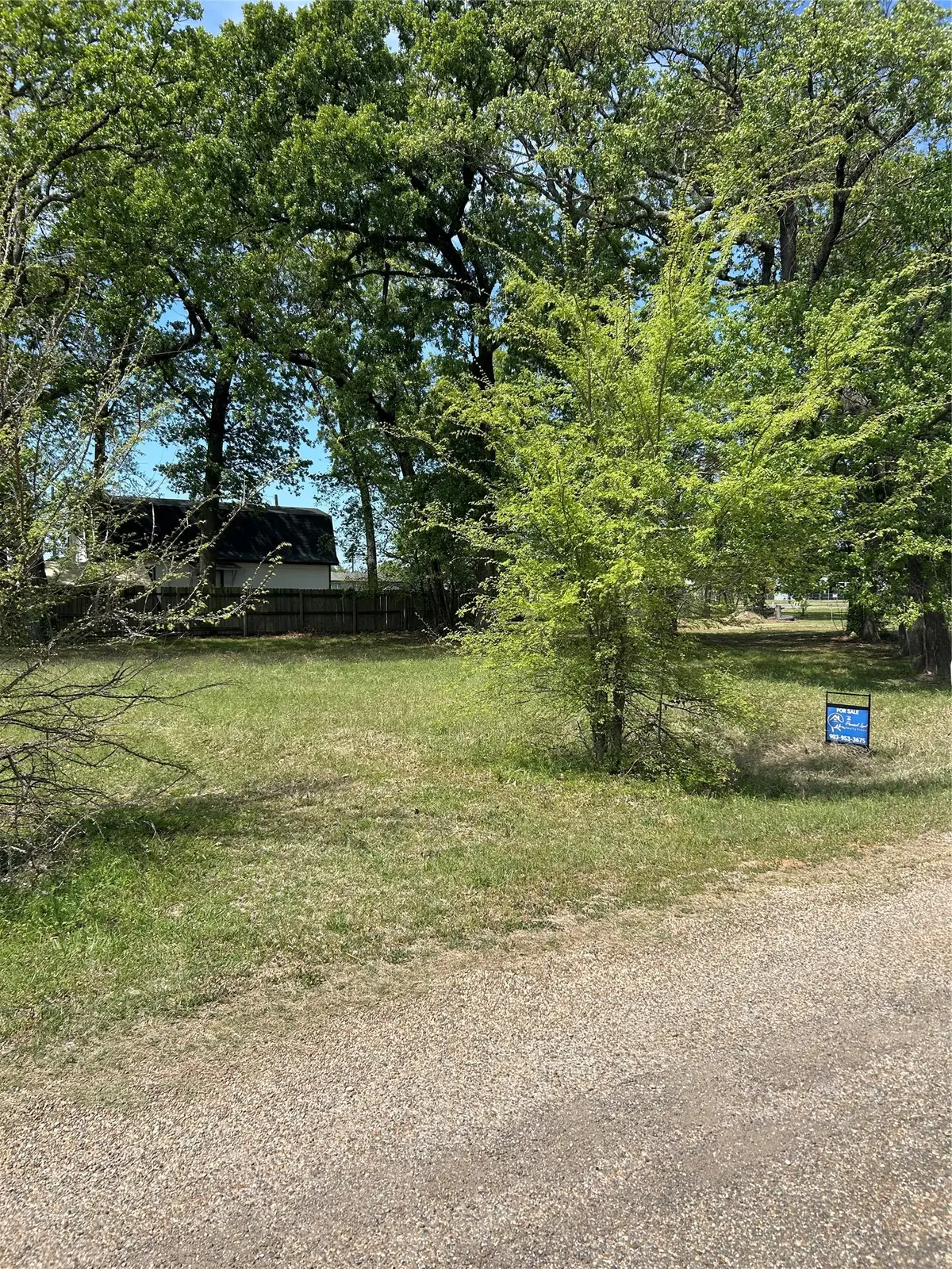 163 Navajo, Quitman, TX 75783 - #1