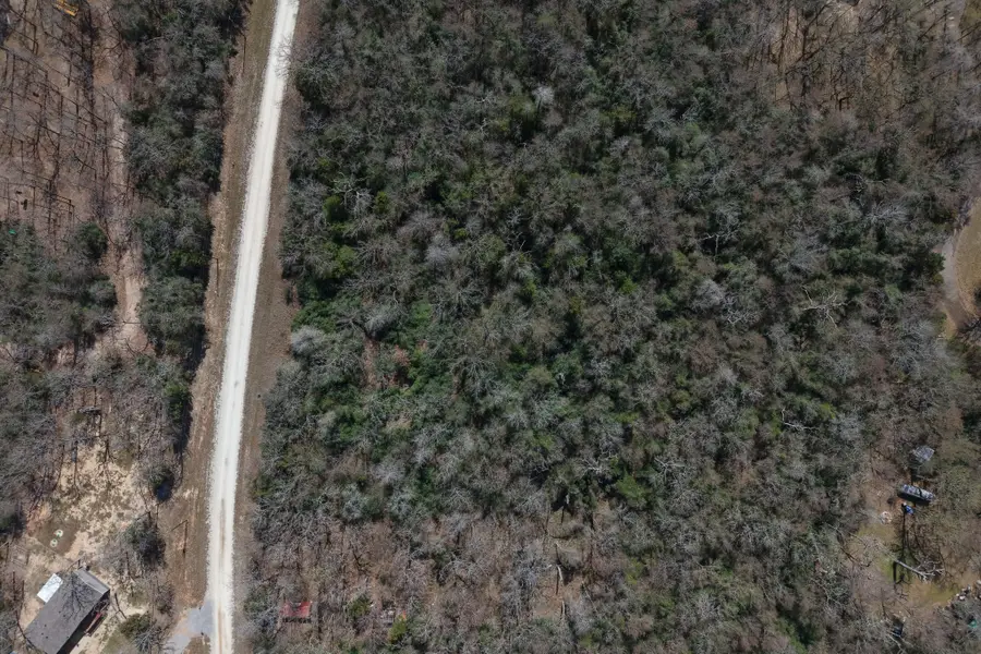 Lot 013 County Road 900, Jewett, TX 75846 - #3