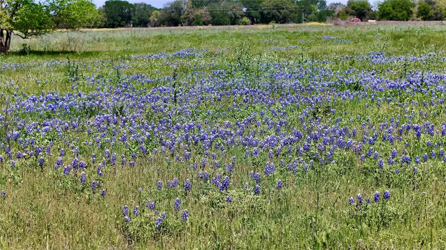 2031-C County Road 3310, Valley Mills, TX 76689 - #3