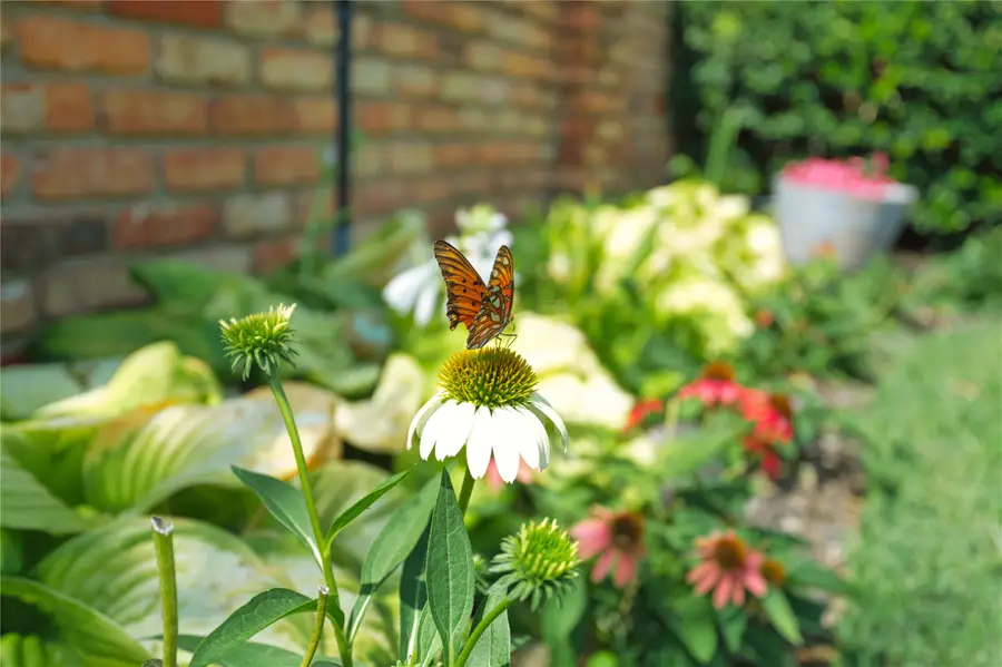 16001 Chalfont Circle, Dallas, TX 75248 - #3