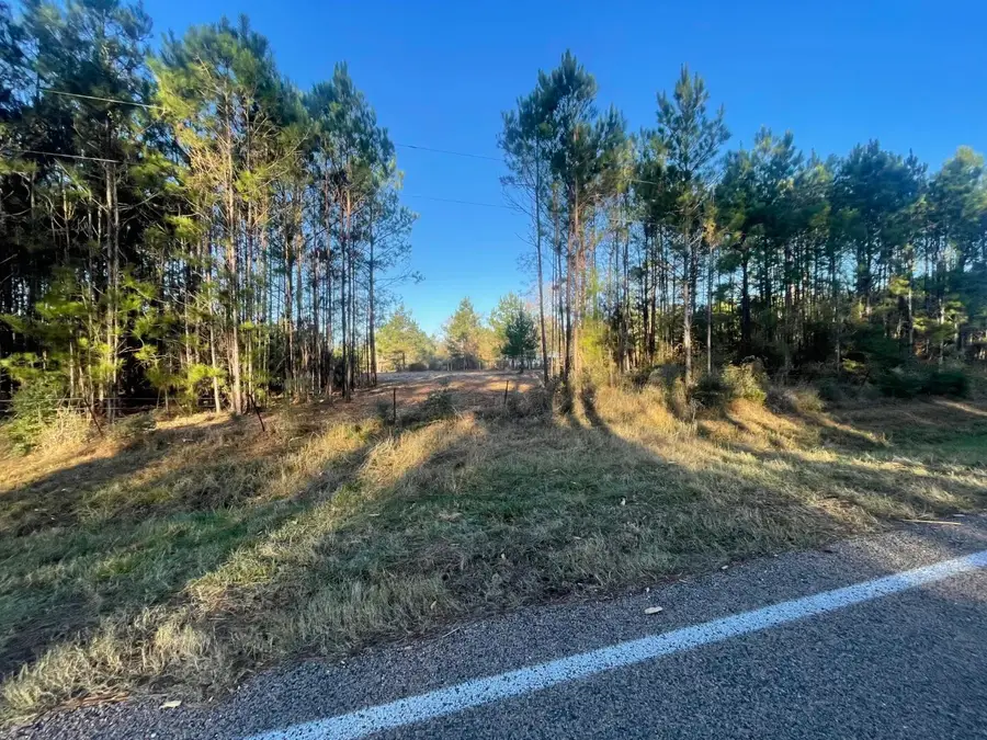 Lot 4 E Fm 942, Livingston Onalaska, TX 75934 - #2