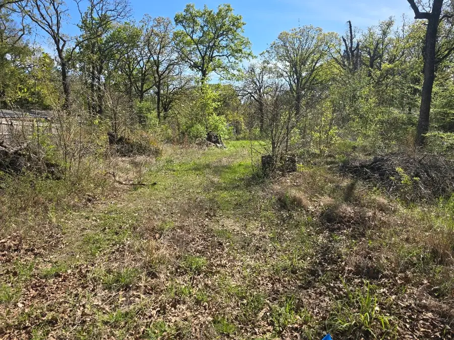 Lot 742 Oak Haven Drive, Gun Barrel City, TX 75156 - #2