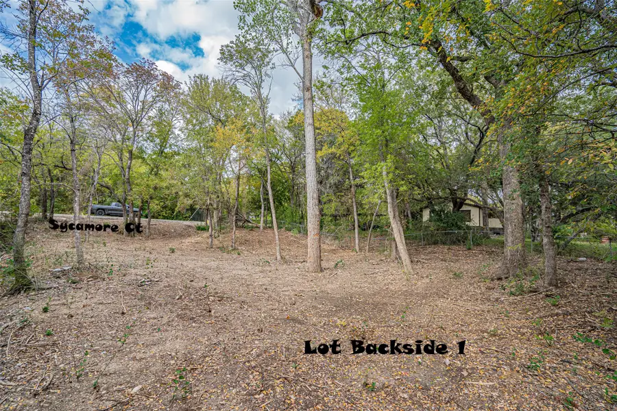 2923 Sycamore Court, Granbury, TX 76048 - #3