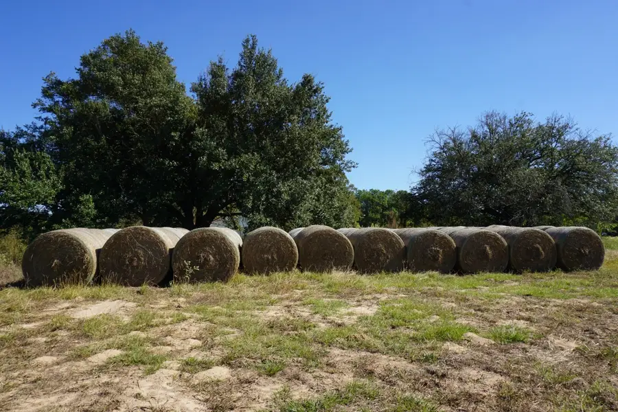 cr4301 Plainview Road, Naples, TX 75571 - #2