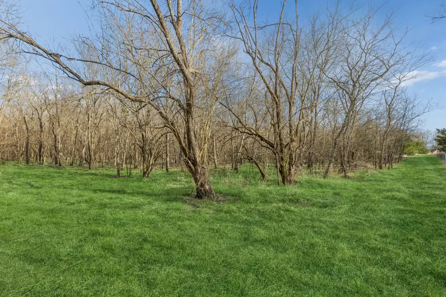 Lot 19 County Road 4813, Commerce, TX 75428 - #3