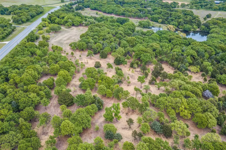 TBD E Farm To Market 455, Pilot Point, TX 76258 - #2