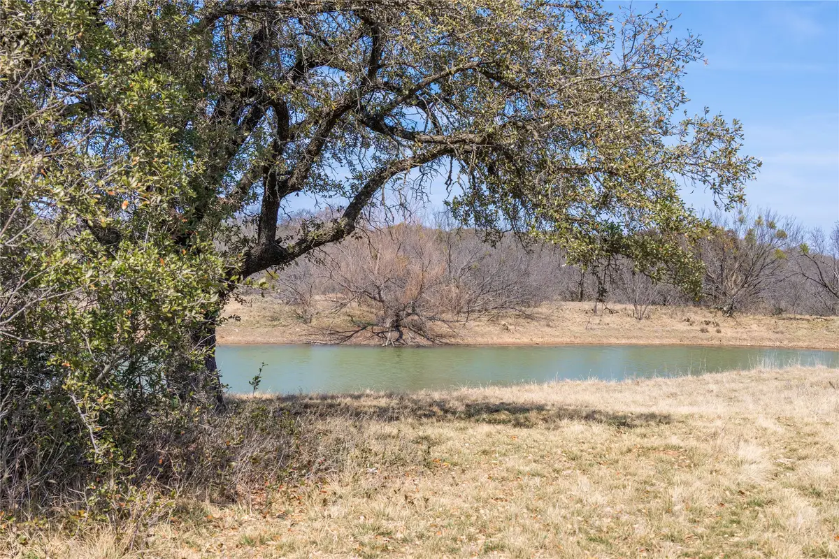 91 Acres Co Rd 370, Carbon, TX 76435 - #1