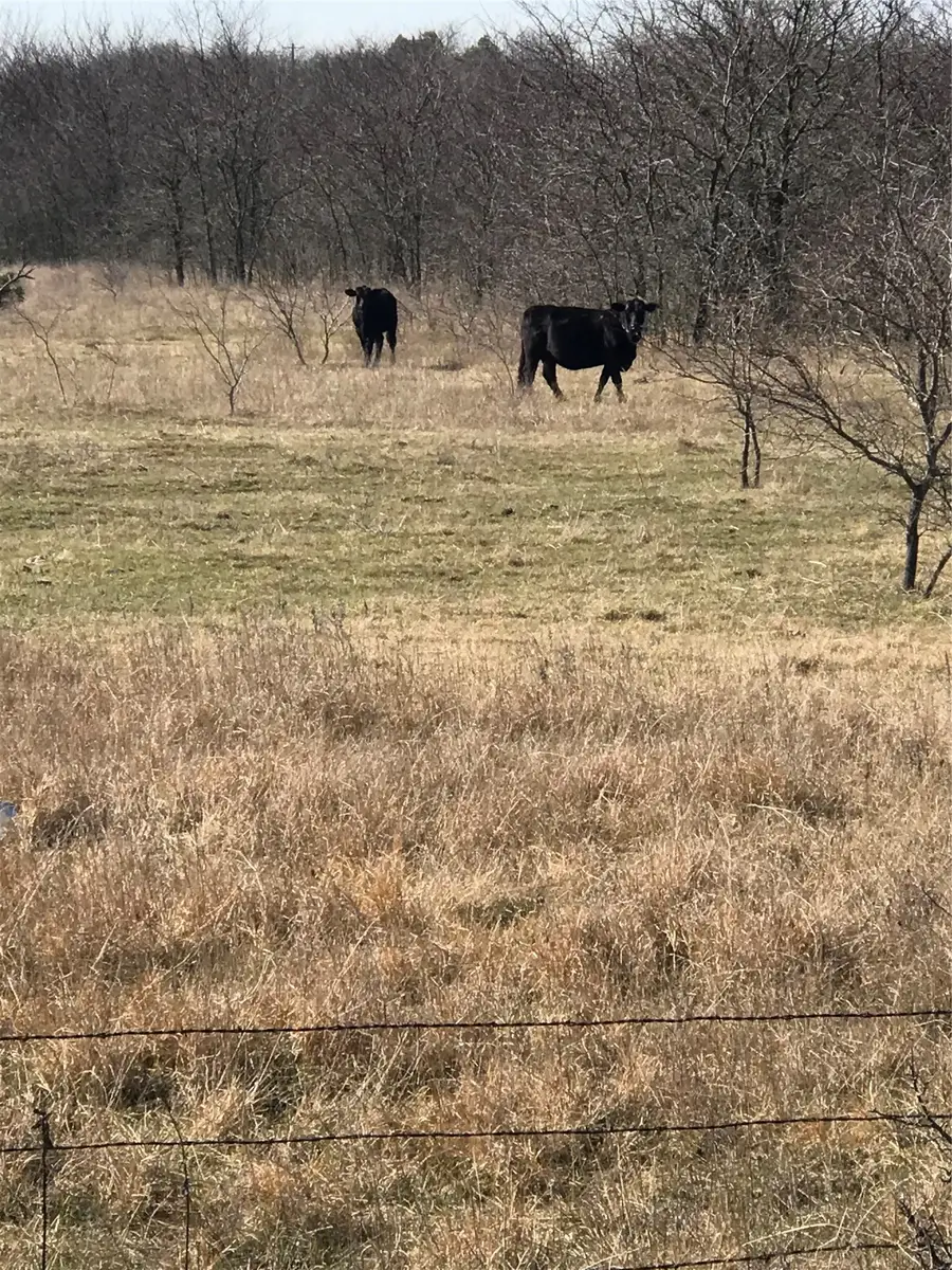 TBD 3.177 Acres Winn Road, Southwest Grayson, TX 76273 - #3