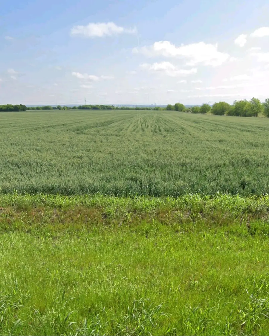 3632 Cr-619, Venus, TX 76084 - #2