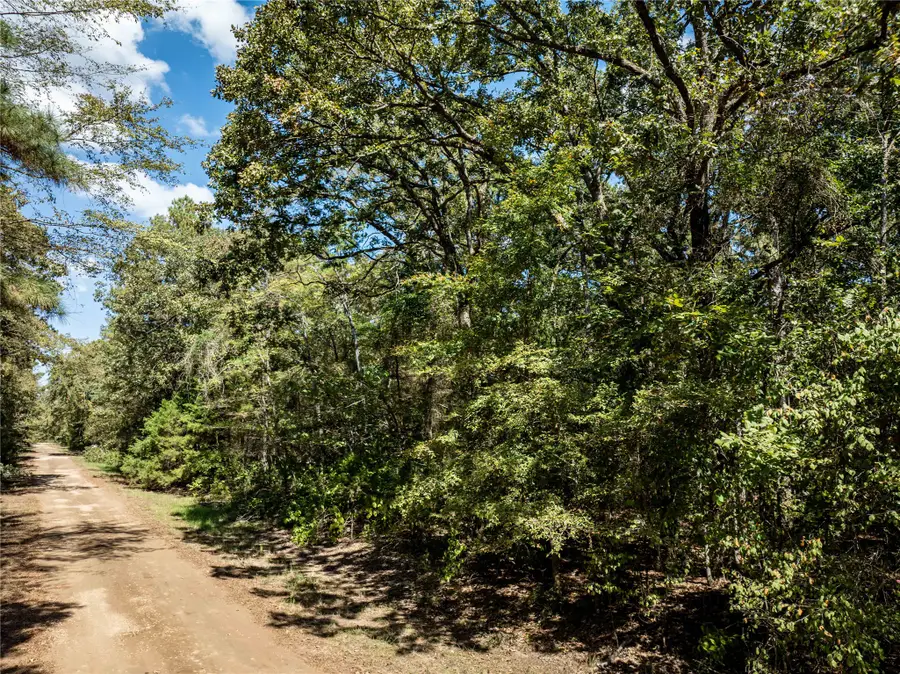 0 Daffodil Lane, Mount Vernon, TX 75457 - #2