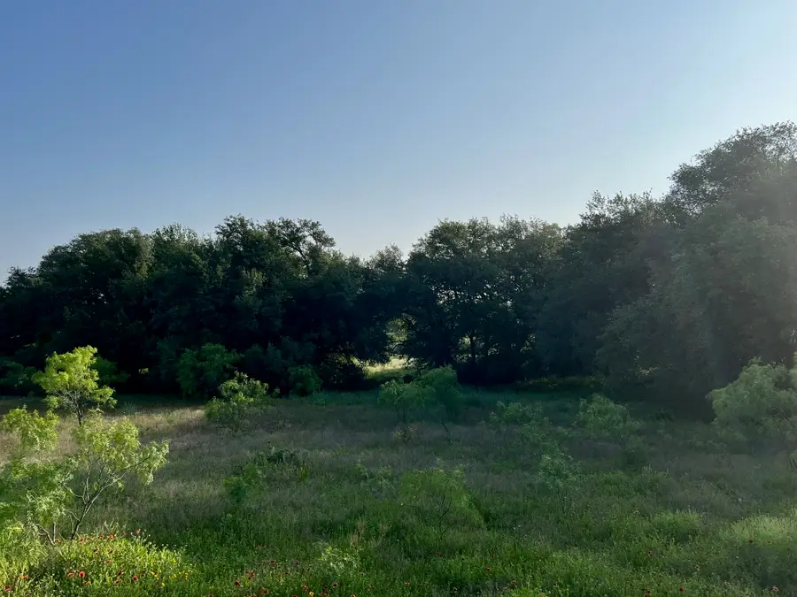 000 S Hwy 16, Comanche, TX 76442 - #3