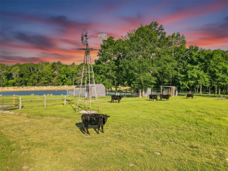 1132 Cr 4470, Winnsboro, TX 75494 - #3