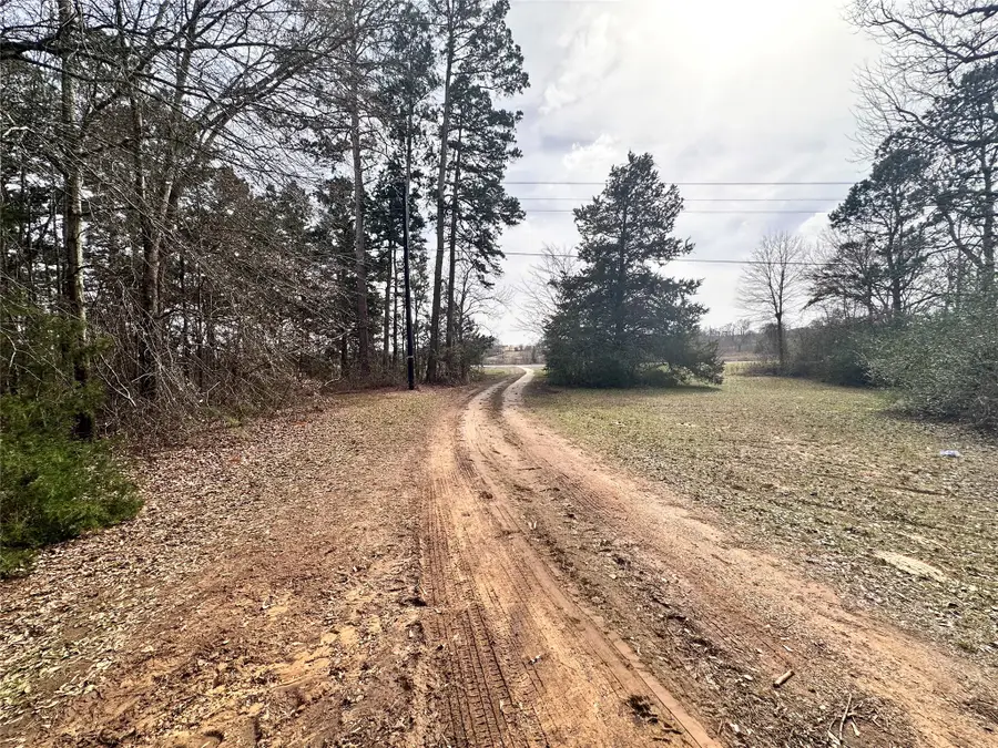 22847 Fm 2215, Frankston, TX 75763 - #3