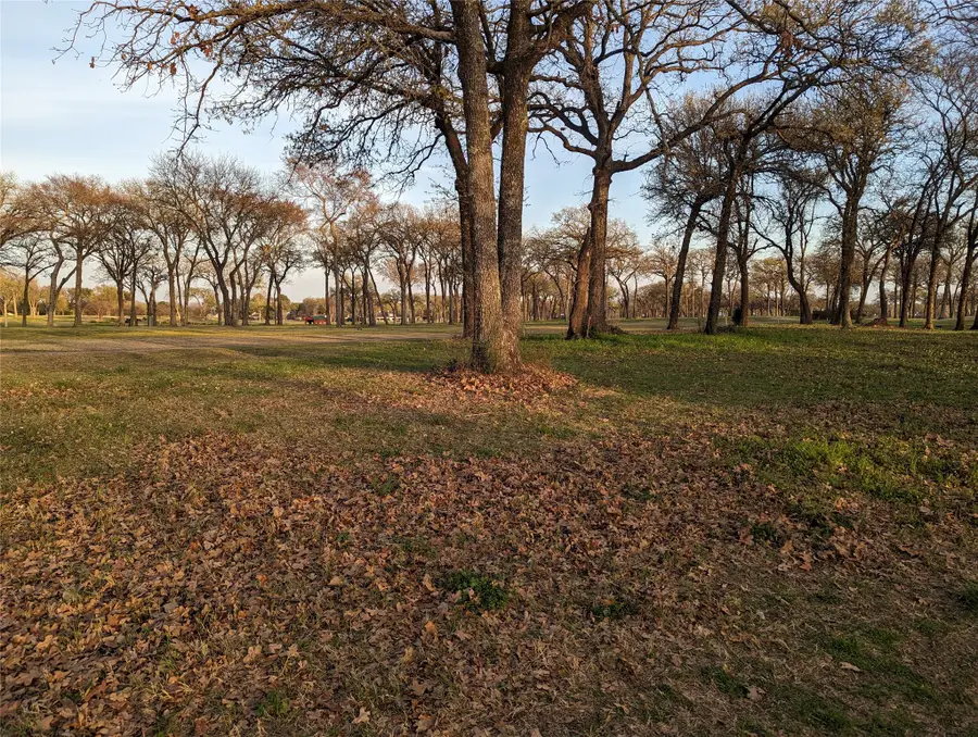 0 Briarwood Drive, Kemp, TX 75143 - #3