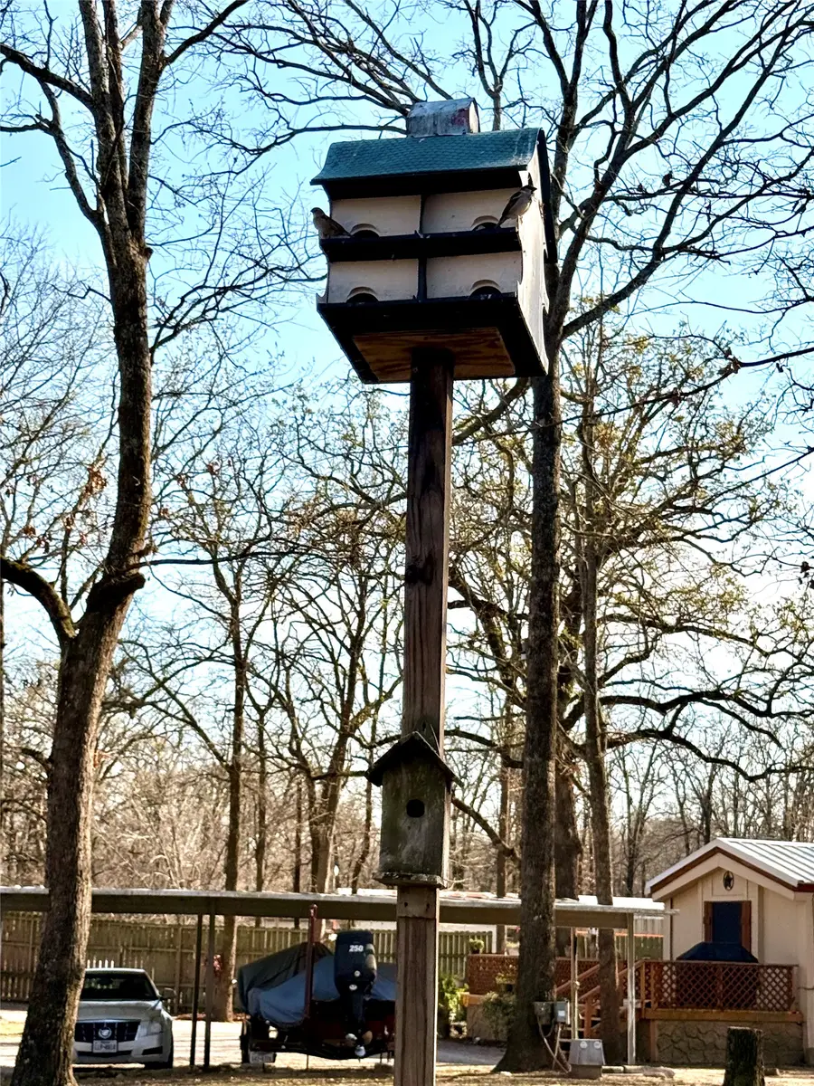 177 County Road 1556, Alba, TX 75410 - #2