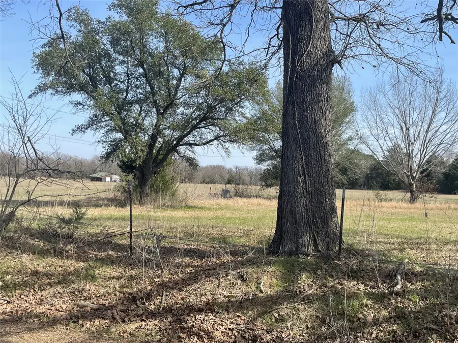 1226 Vz County Road, Grand Saline, TX 75140 - #3