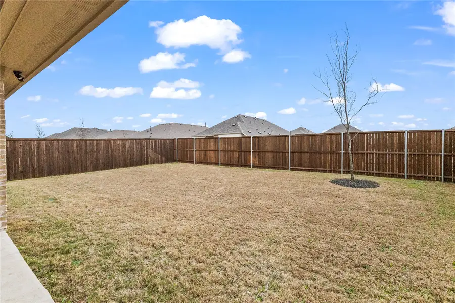 3514 Beebalm Boulevard, Melissa, TX 75454 - #3