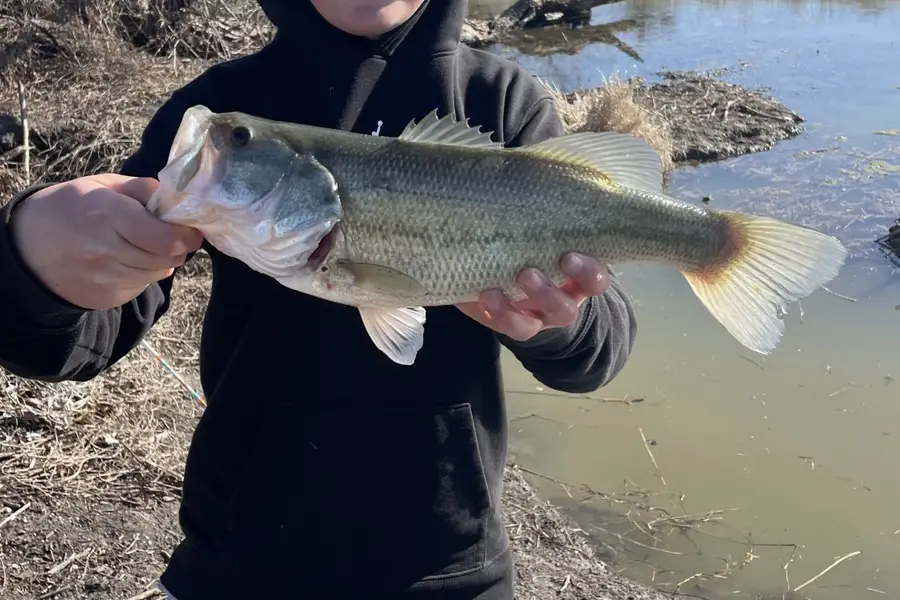 707 Cullins Road, Rockwall, TX 75032 - #3