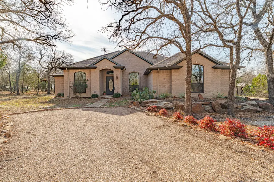 4259 S Lakeview Drive, Gordon, TX 76453 - #3