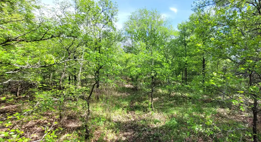 397 Clubhouse Drive, Burleson, TX 76028 - #3