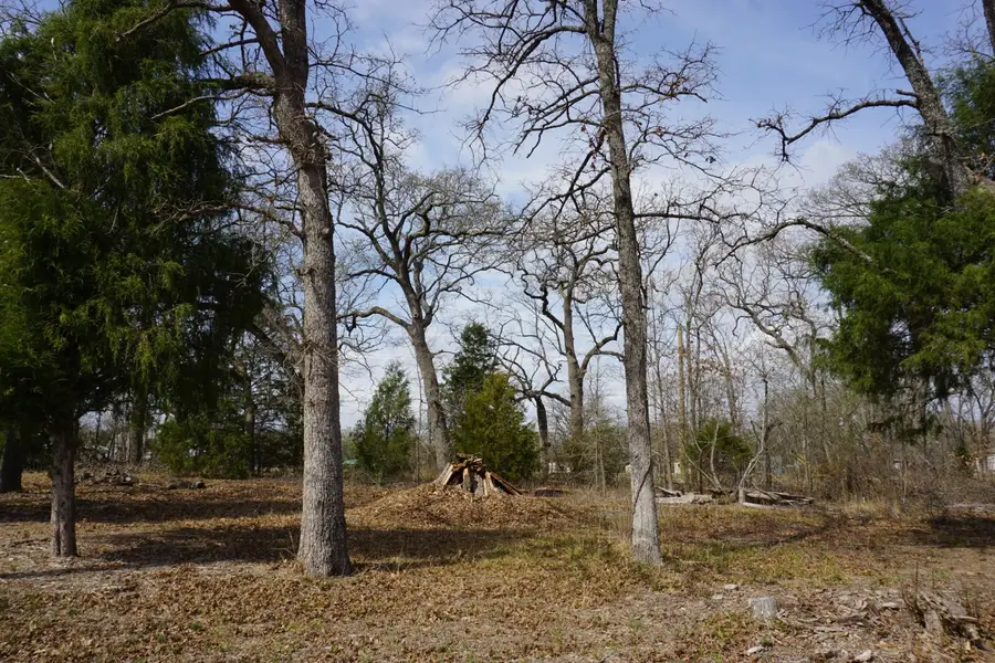 1698 Doc Holiday Dr, Log Cabin, TX 75148 - #3