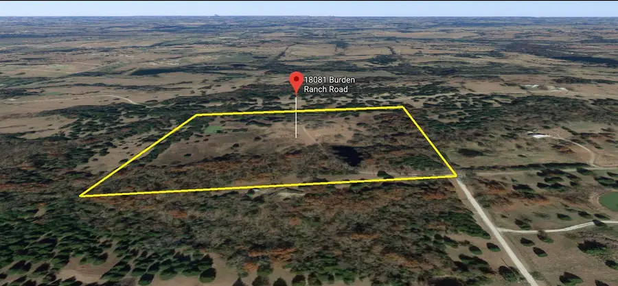 18081 Burden Ranch Dr, Farmersville, TX 75442 - #3