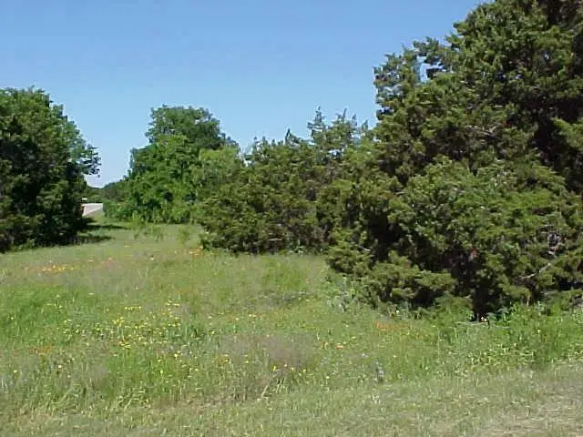 29102 Greenwood Drive, Whitney, TX 76692 - #1