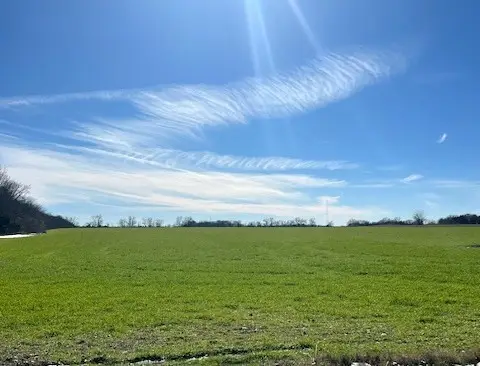 tbd Farm Road 824, Roxton, TX 75477