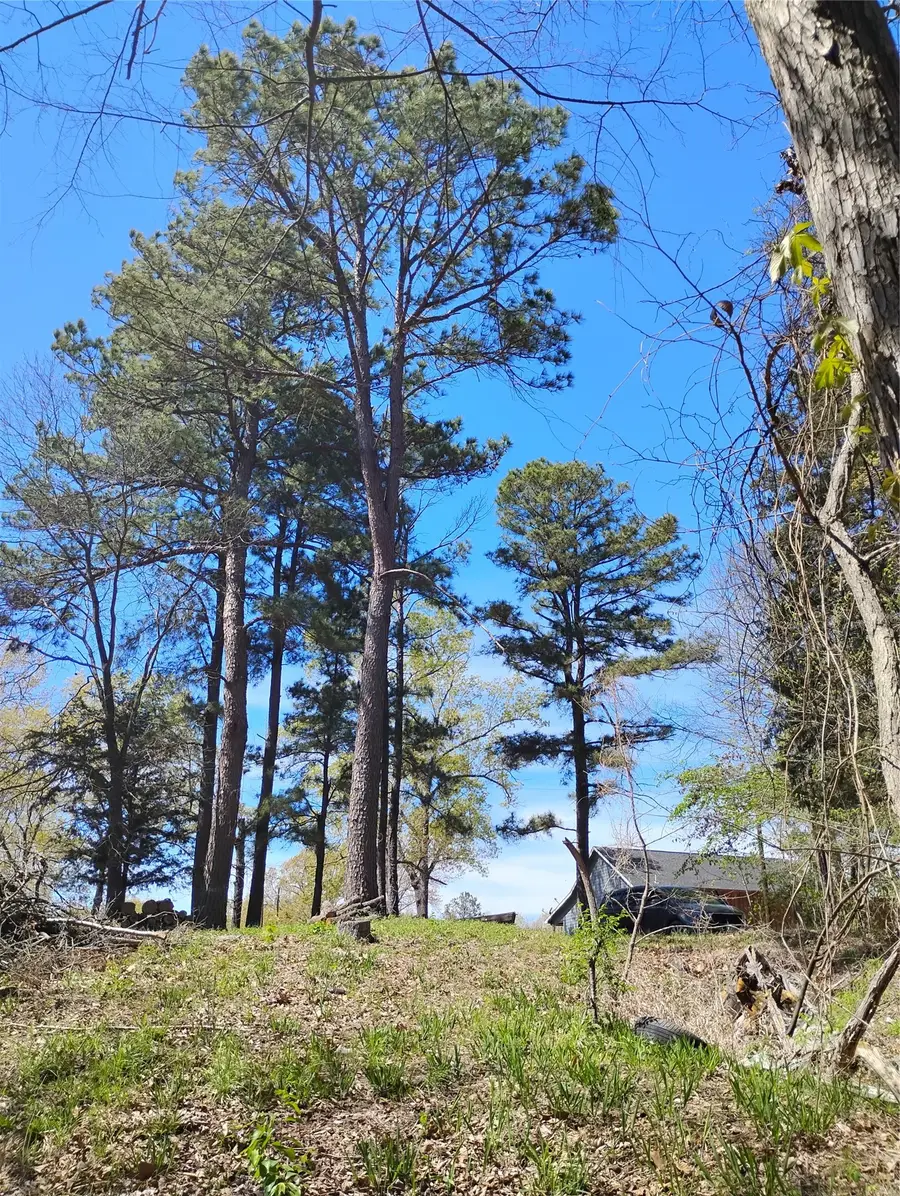 295 James Fannin Road, Honey Grove, TX 75446 - #2