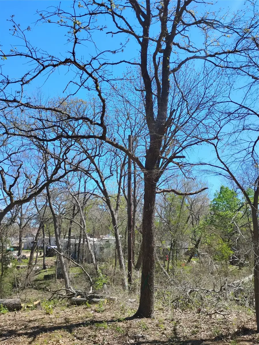 295 James Fannin Road, Honey Grove, TX 75446 - #3