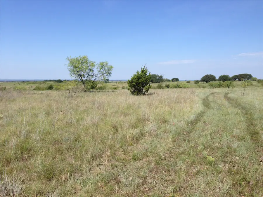 TBD County Road 343, Dublin, TX 76446 - #3